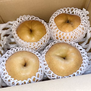 果汁たっぷり！じゅわじゅわー！！愛宕梨（3kg）