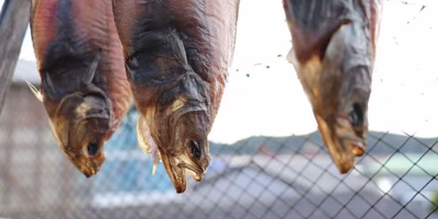 ぽかぽか太陽との共同作業☀️天日干し食材 のたしなみ