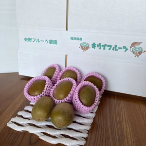 【贈答にも】とろける食感！驚くほど甘い！レッドキウイ 13玉 850以上 追熟済