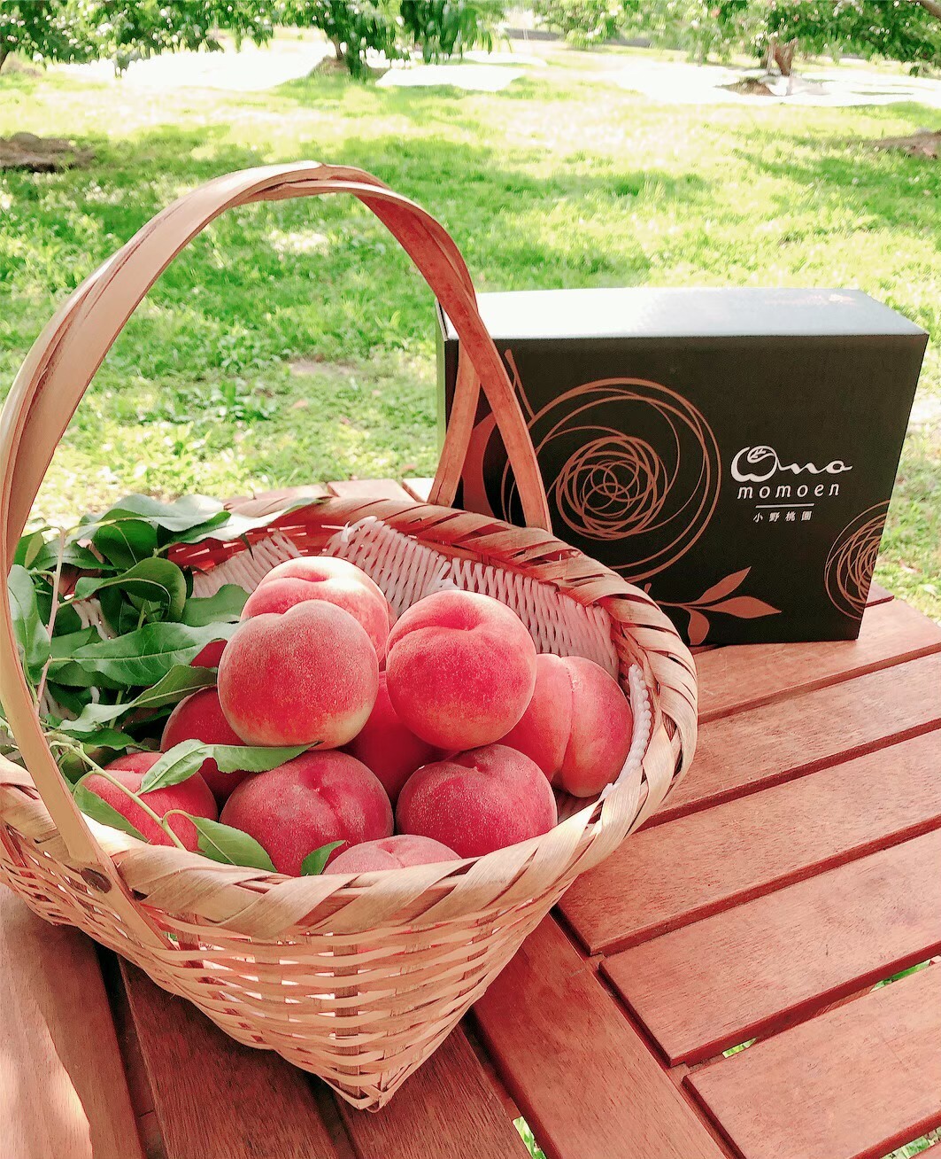 シンガポールセレブ御用達】糖度16度超☆贈答用1.5kg桃【8月予約】｜桃