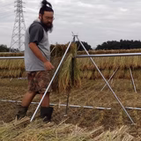 井澤豊一 | ファームトミーズ