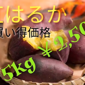 お買い得価格　さつまいも　紅はるか　2021年新物　静岡県産　5㎏