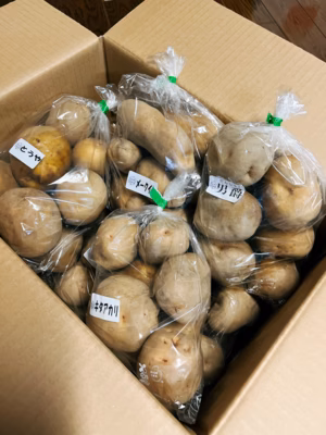 みんなの投稿の画像