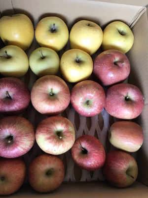 みんなの投稿の画像