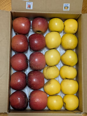 みんなの投稿の画像