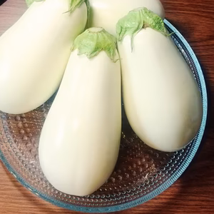 とろける食感『とろーり旨なす』4個入り
