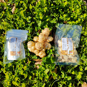 【送料込み】菊芋パウダー 菊芋を手軽に美味しく 栽培期間中農薬不使用