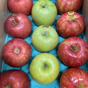 おまかせミックス【食べ比べが楽しい！】秀　3キロ