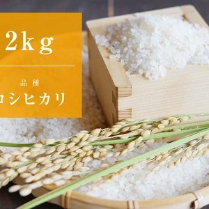 【新米/コシヒカ/特別栽培米】心を込めて作りました♪山形県産コシヒカリ精米2kg