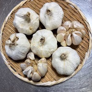 食品ロス品! ガツンとくるにんにく　1kg