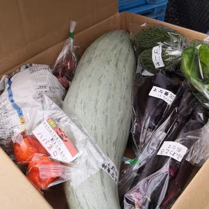 お楽しみ野菜セット　コース別