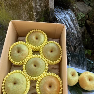 旬をお届け　溢れる果汁　極みの逸品　梨「秋麗」贈答用