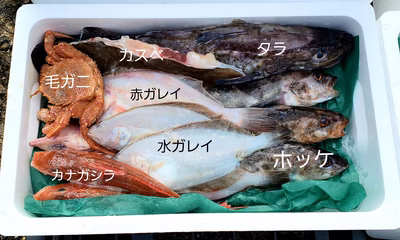 みんなの投稿の画像