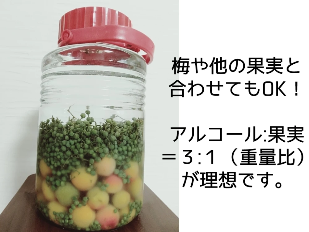 うまぶどうウマブドウ 馬ぶどう実 2400g（400gx6）焼酎漬用選別冷凍