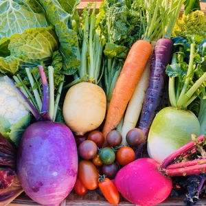 【ギフトも可】たてやまかおり菜園『秋冬カラフル野菜セット8〜9品目』