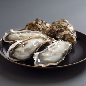 冷凍殻付き牡蠣（加熱用）　美海がき（LLサイズ）　12粒