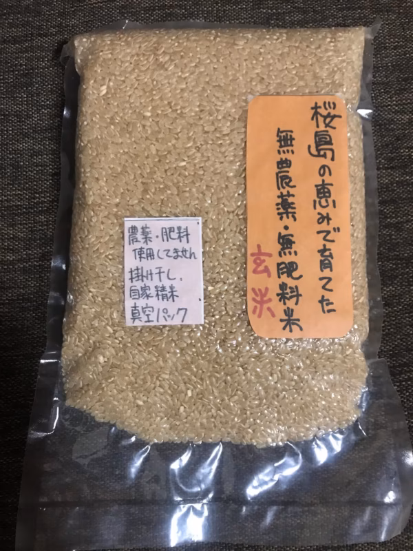 桜島の恵みで育てた無農薬無肥料白米と玄米ヒノヒカリ290g×12袋