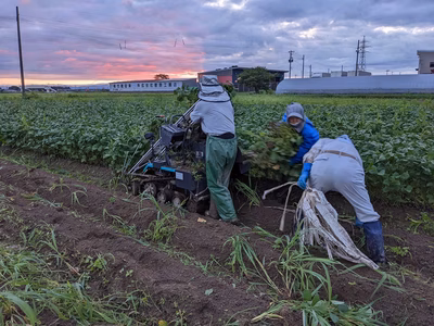 みんなの投稿の画像