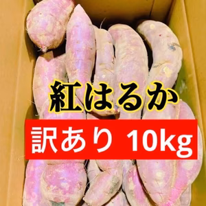 訳あり！　新物　紅はるか　土付き　