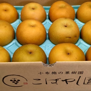 【甘酸っぱくてジューシー！】南水梨(家庭用) 3kg