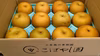 【甘酸っぱくてジューシー！】南水梨(家庭用) 3kg