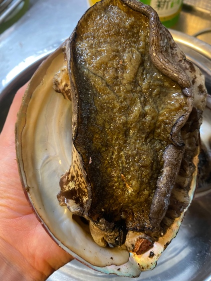 漁師直送 新鮮サザエ 海老網さざえ カマサザエ 特大サイズ サザエ 農家漁師から産地直送の通販 ポケットマルシェ