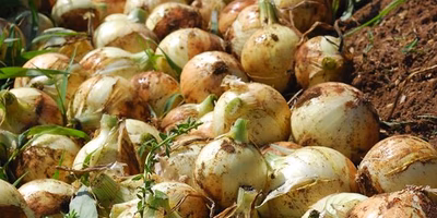 安すぎるとどうなるか、考えることも必要なのではないか。