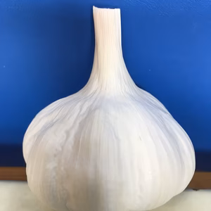 これぞ『夏にピッタリ』! ガツンとくるにんにく