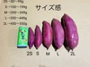 【新物】シルクスイート　 Sサイズ　さつまいも
