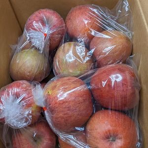 リンゴふじ加工原料5Lサイズ