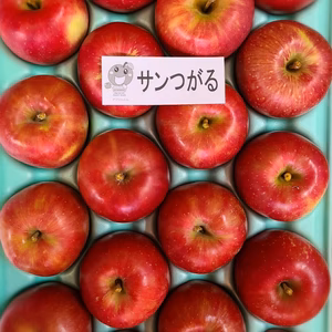 【5キロ】サンつがる (12～20玉)