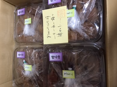 みんなの投稿の画像