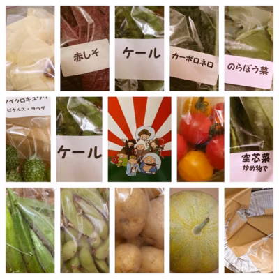 みんなの投稿の画像