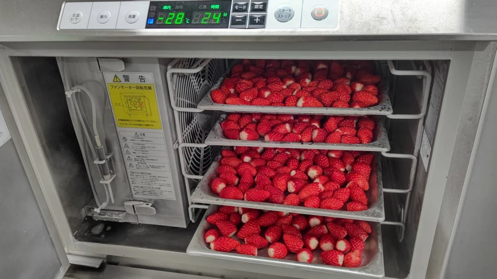 瞬間冷凍驚く甘さ！旨味そのまま冷凍イチゴ1キロ
