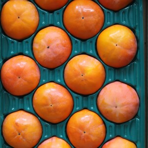 大の果物好きが作るこだわりの柿【2L】樹上完熟富有柿4kg箱