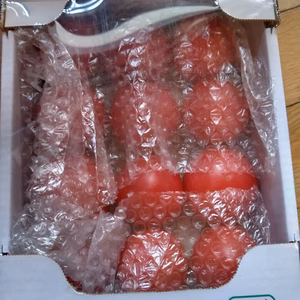 《ギフトにも》甘くて美味しい、桃太郎トマト