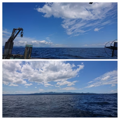 みんなの投稿の画像