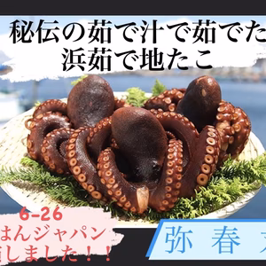 東京湾産！まるごと1匹！！　浜茹で地たこ(大サイズ)