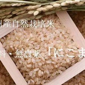 令和5年新米　自然栽培米「にこまる」玄米