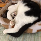 三原・仲谷 彩香