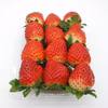 幸せイチゴ特A品！(品種：きらぴ香）