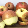 サンふじ りんご 加工用 約2.5キロ およそ12-17玉 ※商品説明文必読