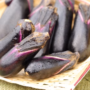 お漬物に最適ですよ☆小ナスのセット！　(送料込み：約500gを1-8袋)