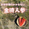 産地直送！金時人参