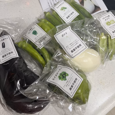 みんなの投稿の画像