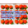 【贈答用】青森県下北産　夏秋いちご「すずあかね」