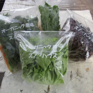 【有機JAS】那須高原のオーガニック野菜セット（4種類以上）