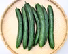 農薬不使用（無農薬）栽培野菜　露地きゅうり