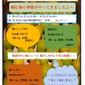 梅仕事ワークショップ（梅干し・梅ジュース・梅酒）