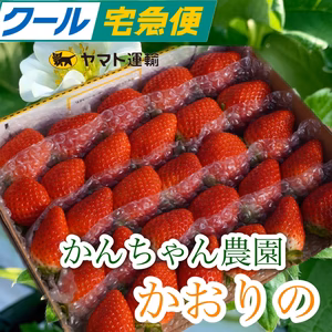 【クール便】新鮮朝採りいちご